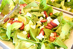 SEATTLE SPACE NEEDLE